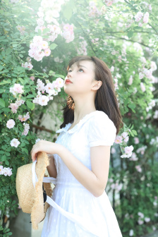 女人本色在线播放免费